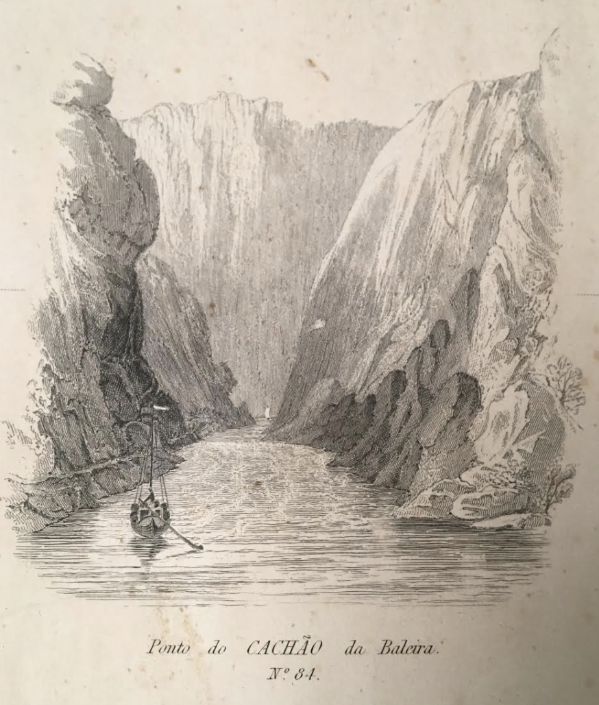 UMA PALAVRA E SEUS DISCURSOS — «VINHO»