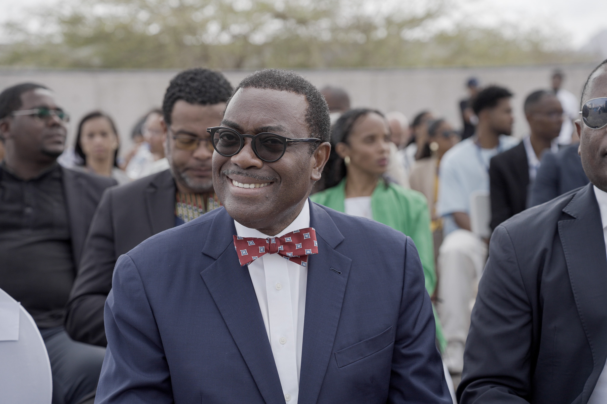 BAD Tech Park CV Akinwumi Adesina