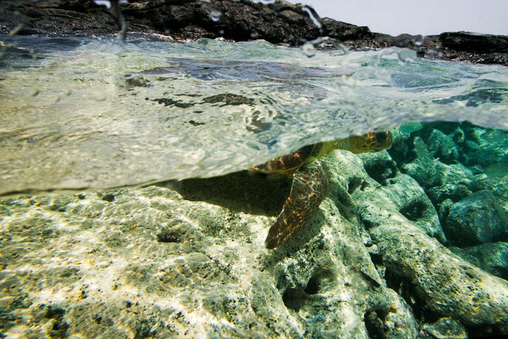 Cabo Verde Ocean Week  Summit