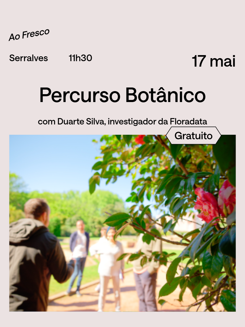 Dia Internacional dos Museus