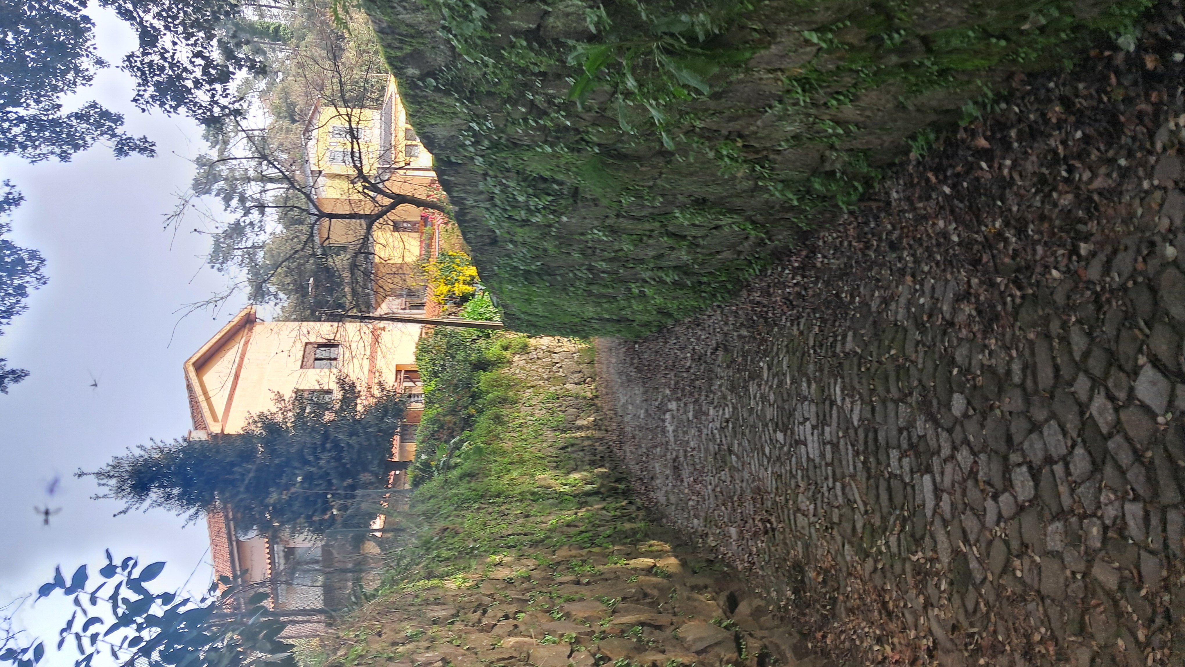 Caminhos a Oriente: Um mapa desenhado com passos