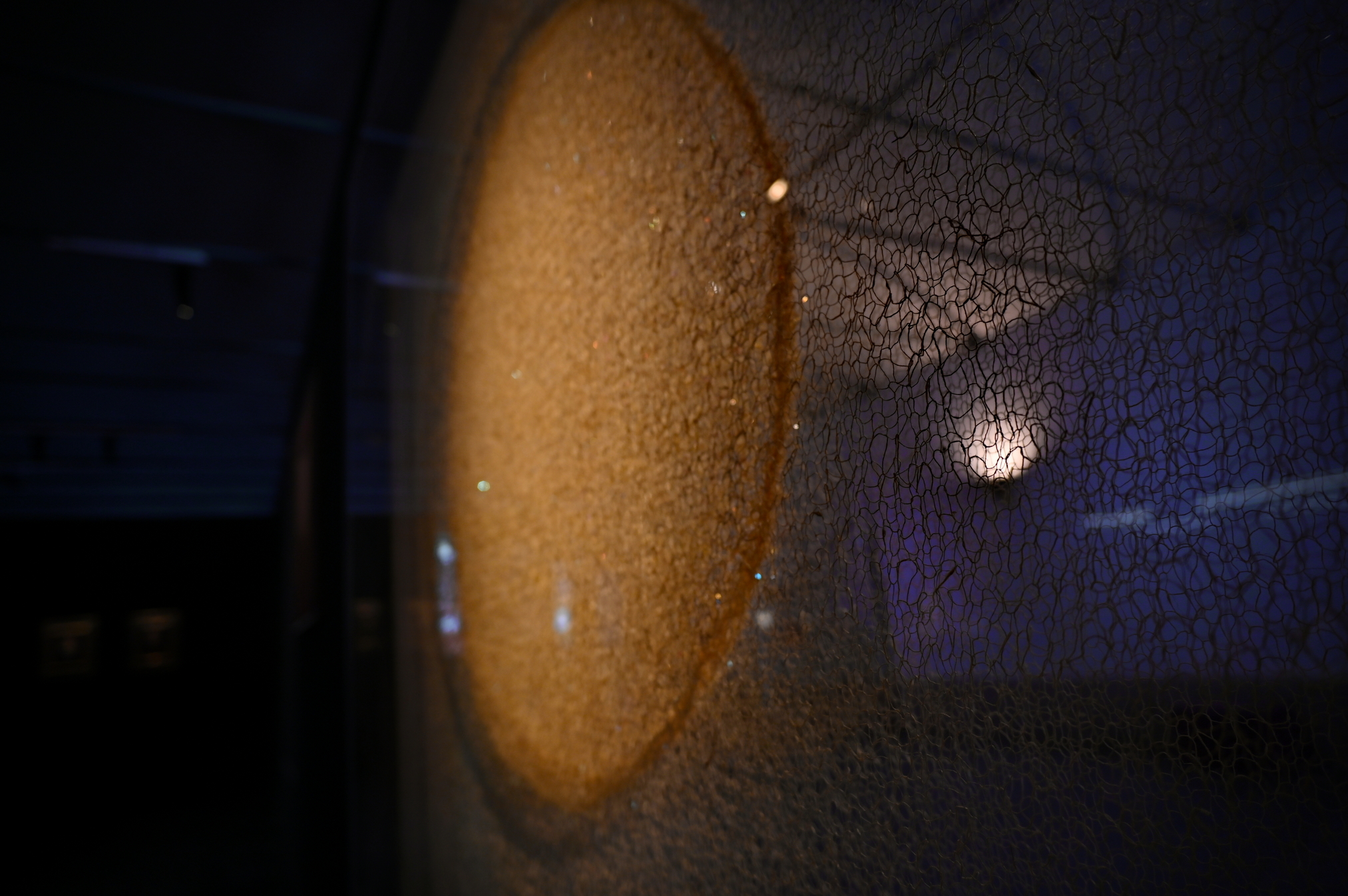 Primeira exposição temporária do Museu das Convergências inaugura na Alfândega