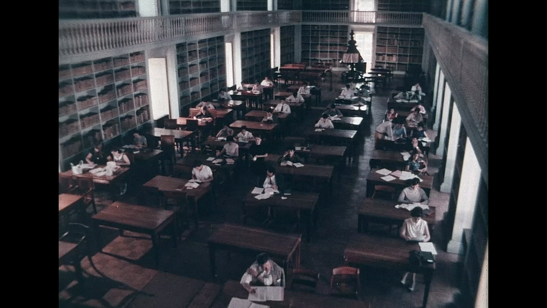 Escolhas da Filmoteca