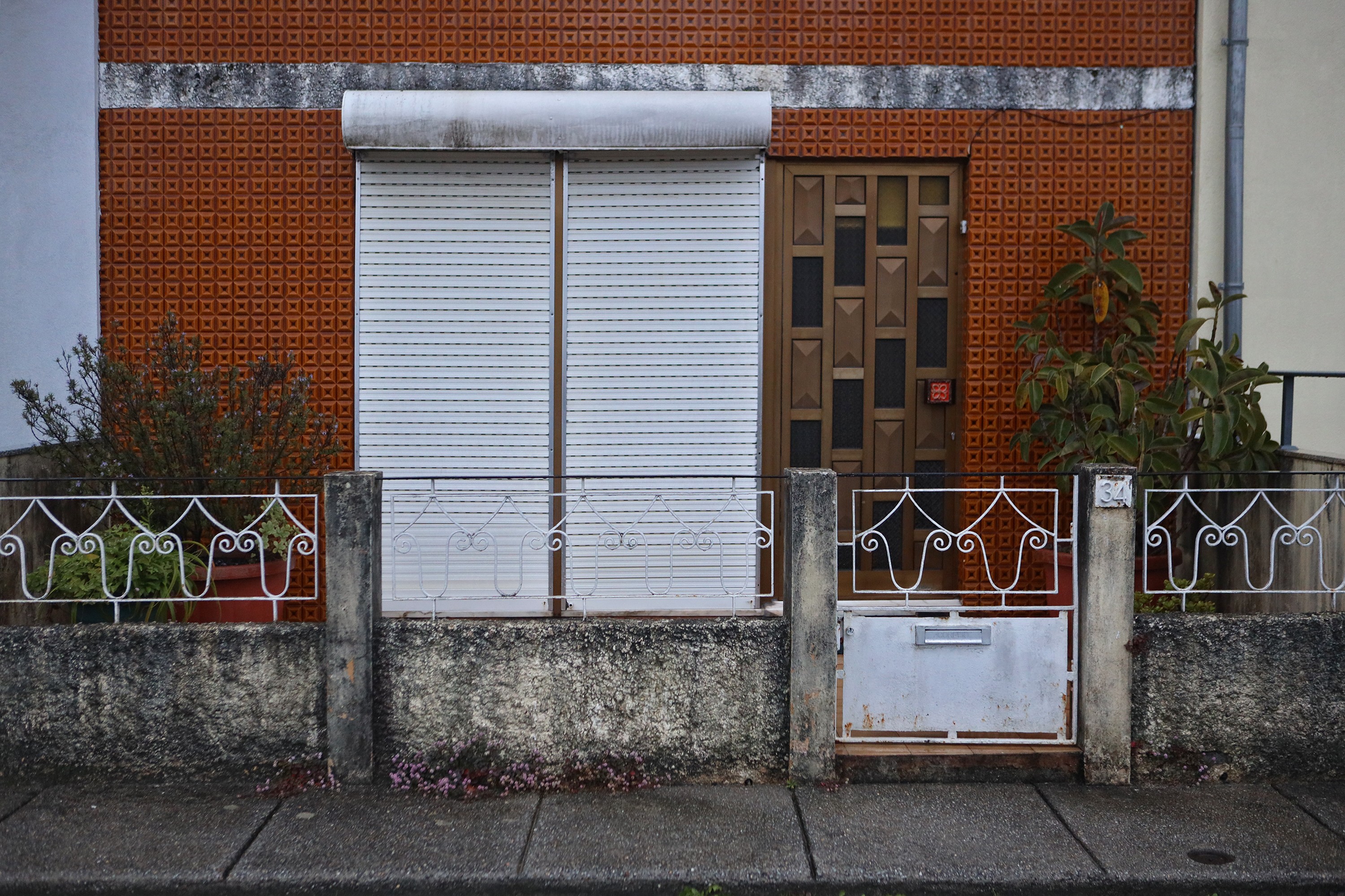 Cronicas ZOP Bairro da Maceda