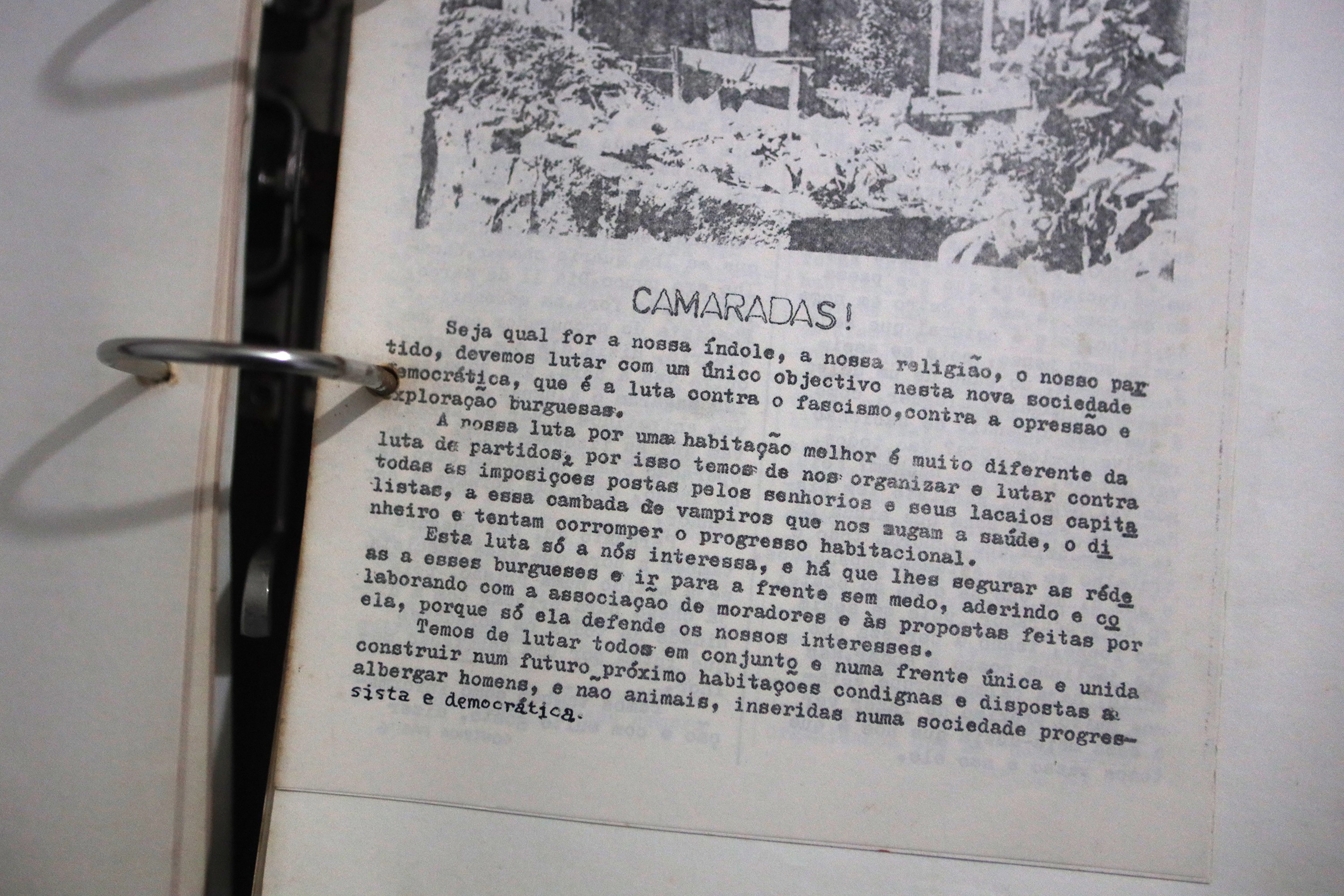 Cronicas ZOP Bairro da Maceda