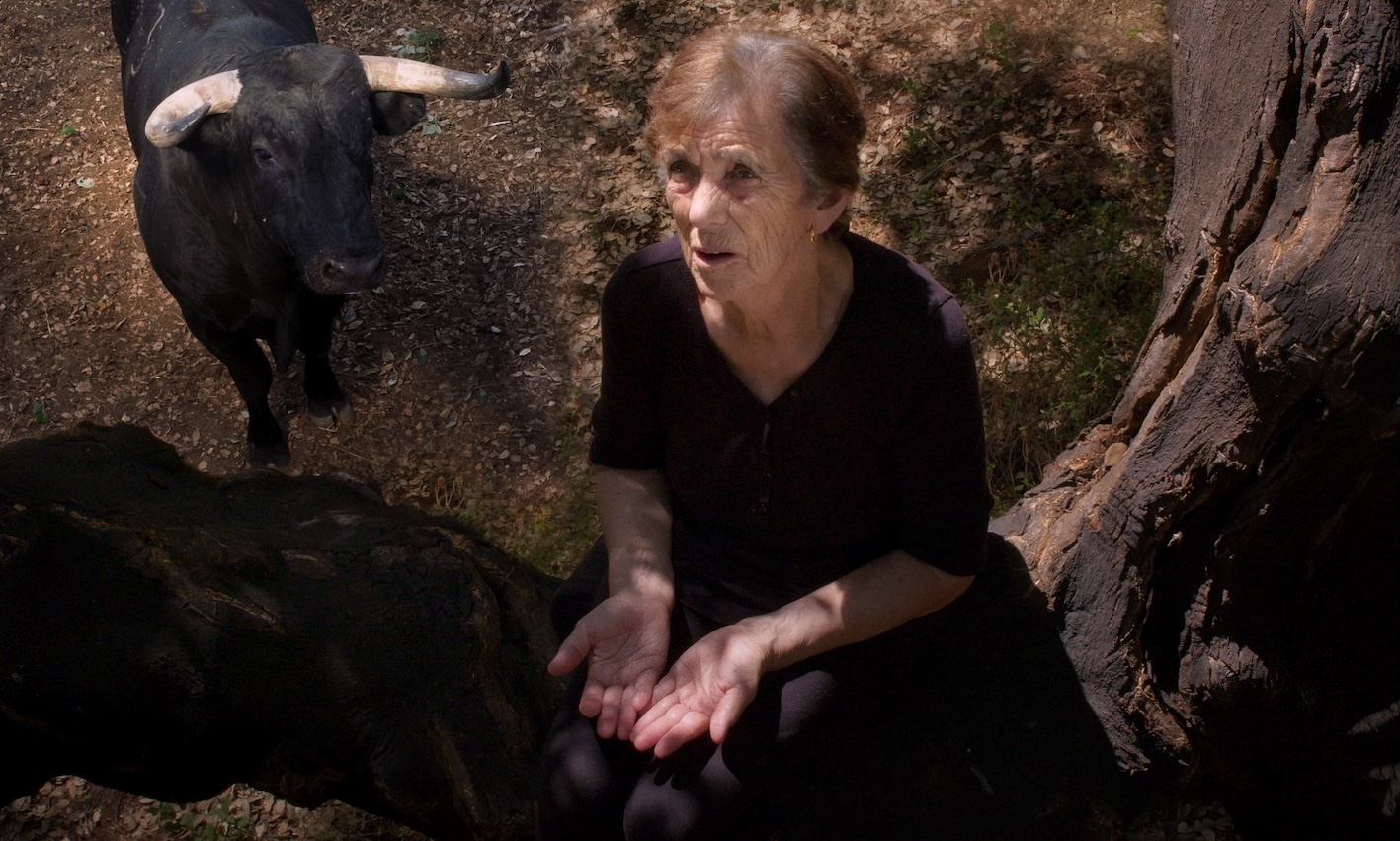 Marta Mateus subiu às arvores para evocar fantasmas