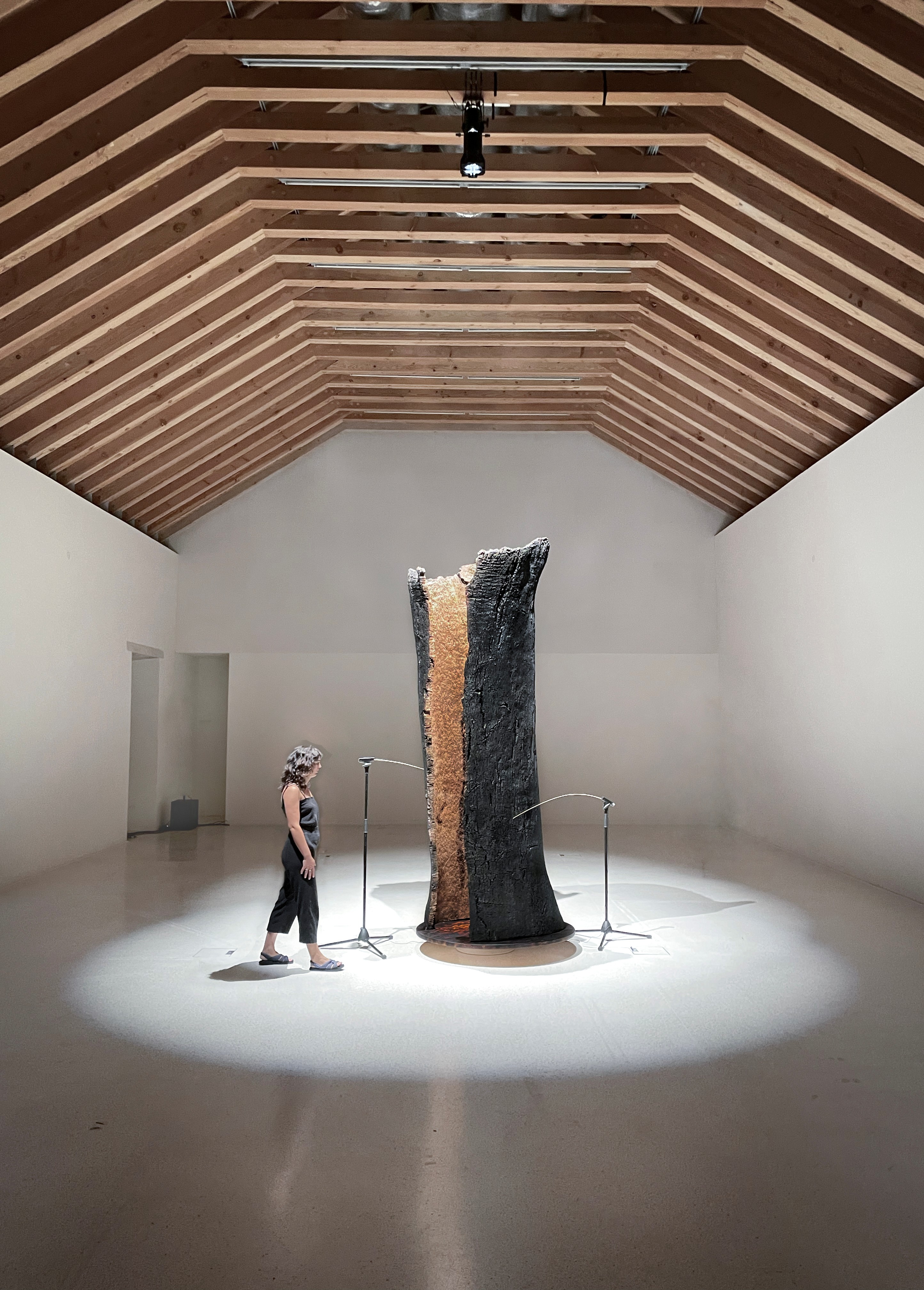 Andre Braga 6 WATTS Ciclo Sonoro