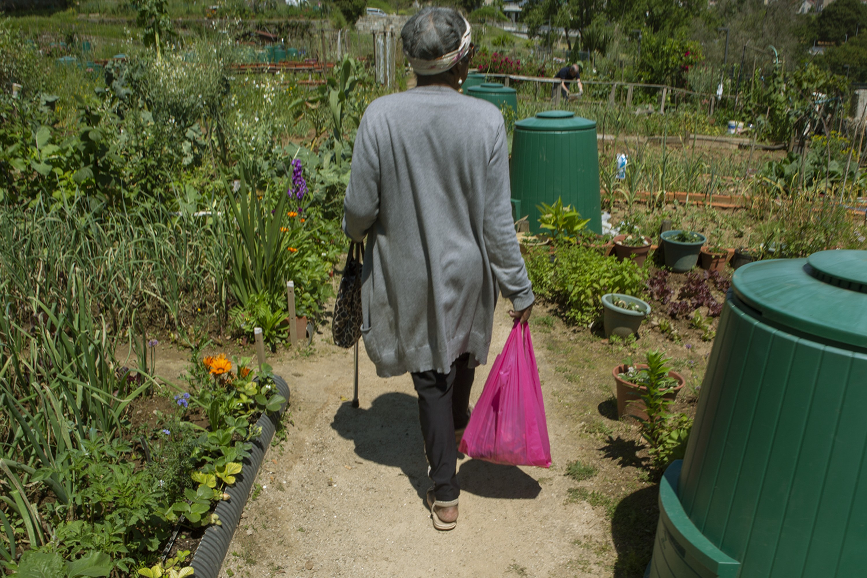 Cronicas ZOP Horta Oliveira