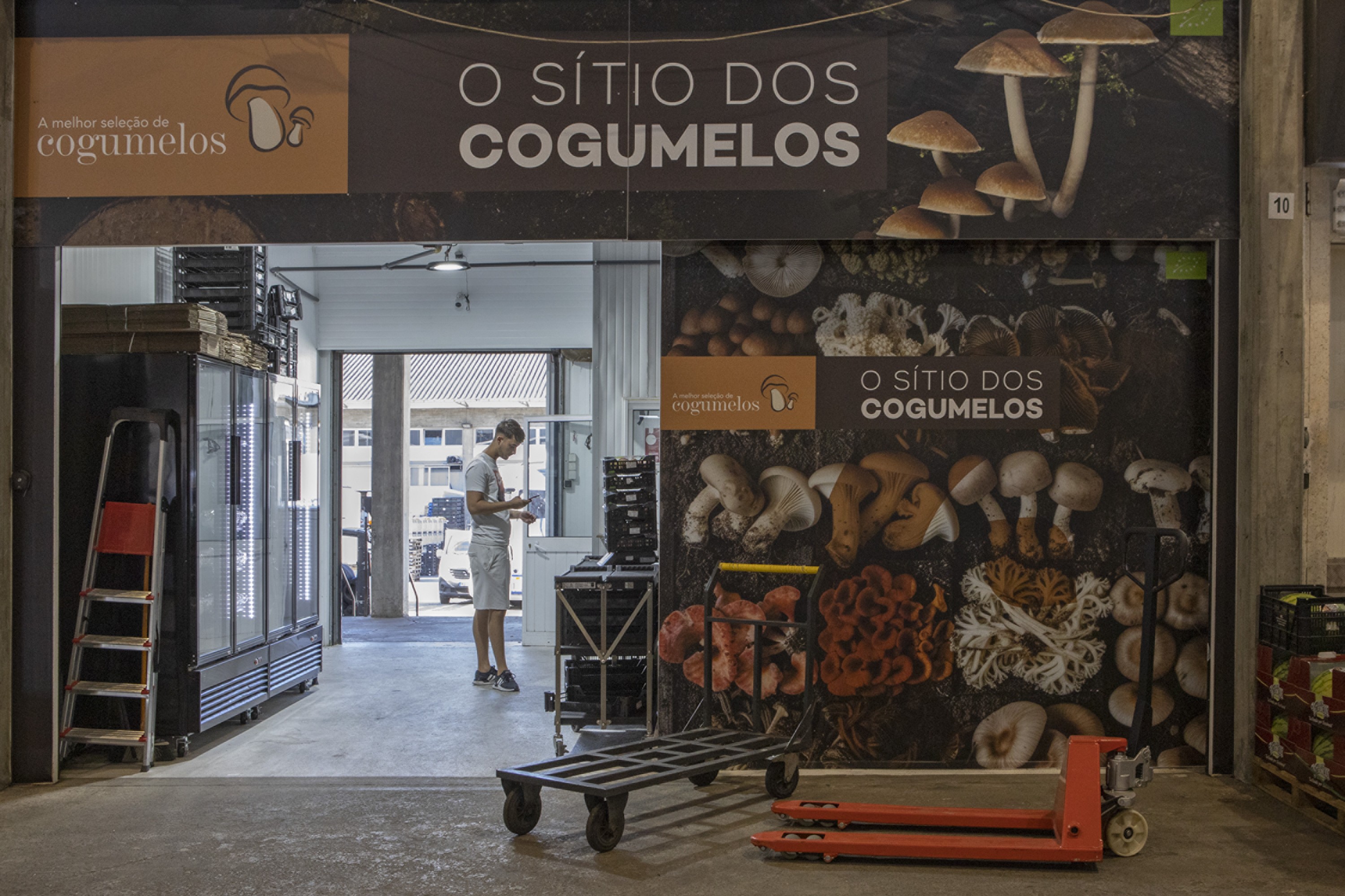 Cronicas da ZOP Mercado Abastecedor 