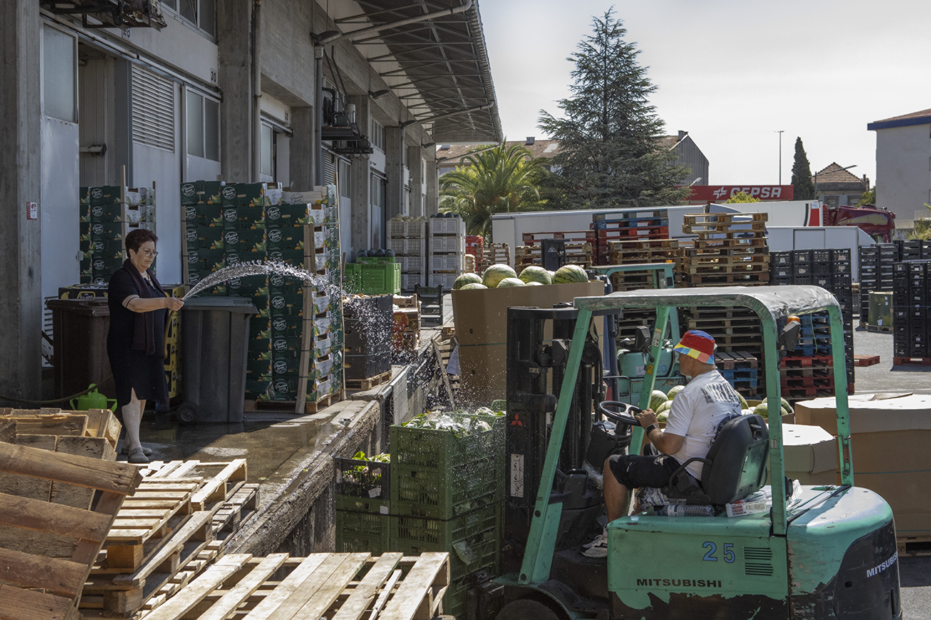 Cronicas da ZOP Mercado Abastecedor 