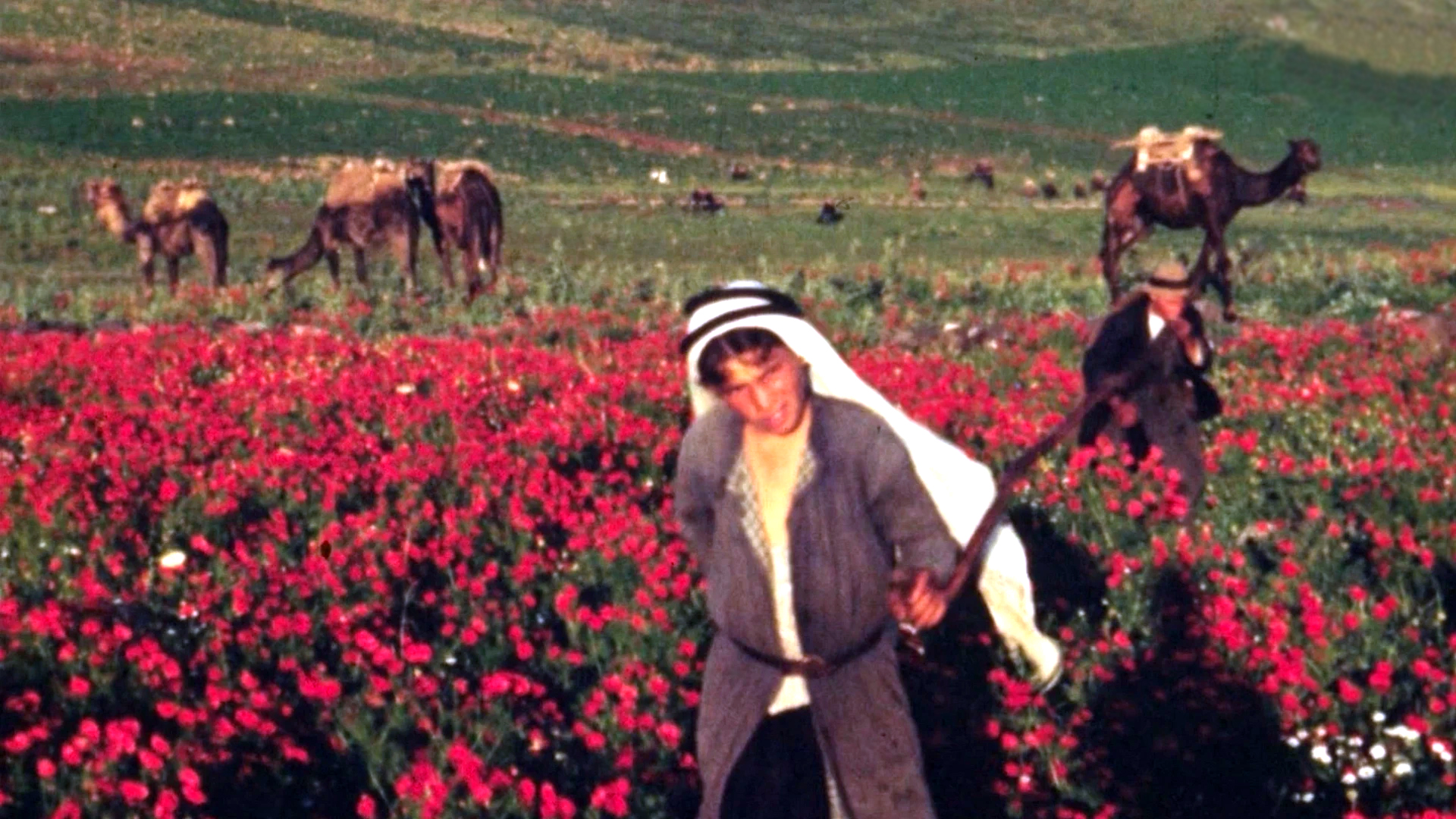 The Flowers Stand Silently, Witnessing, de Theo Panagopoulo + Foragers, de Jumana Manna