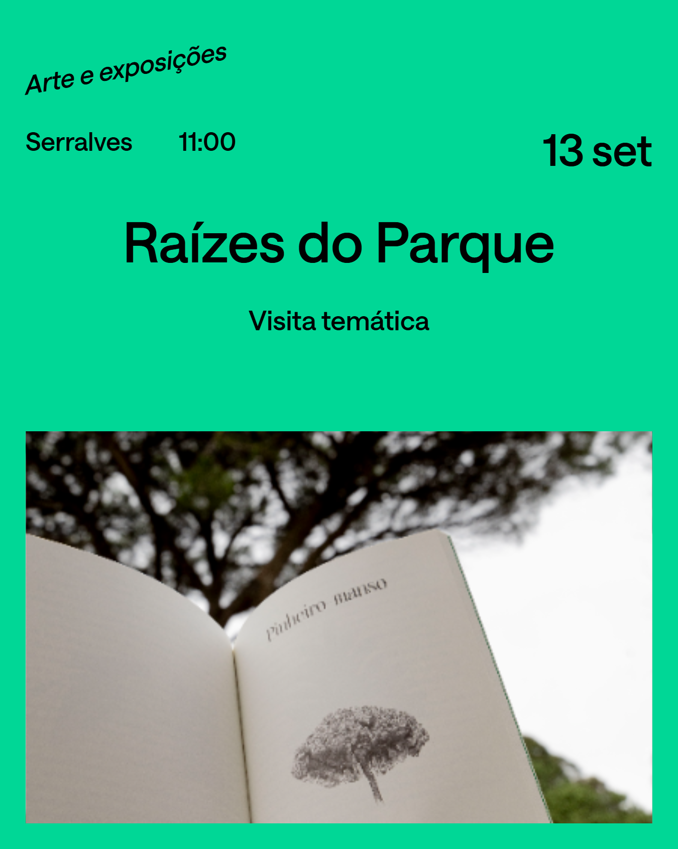 Reportagem SET