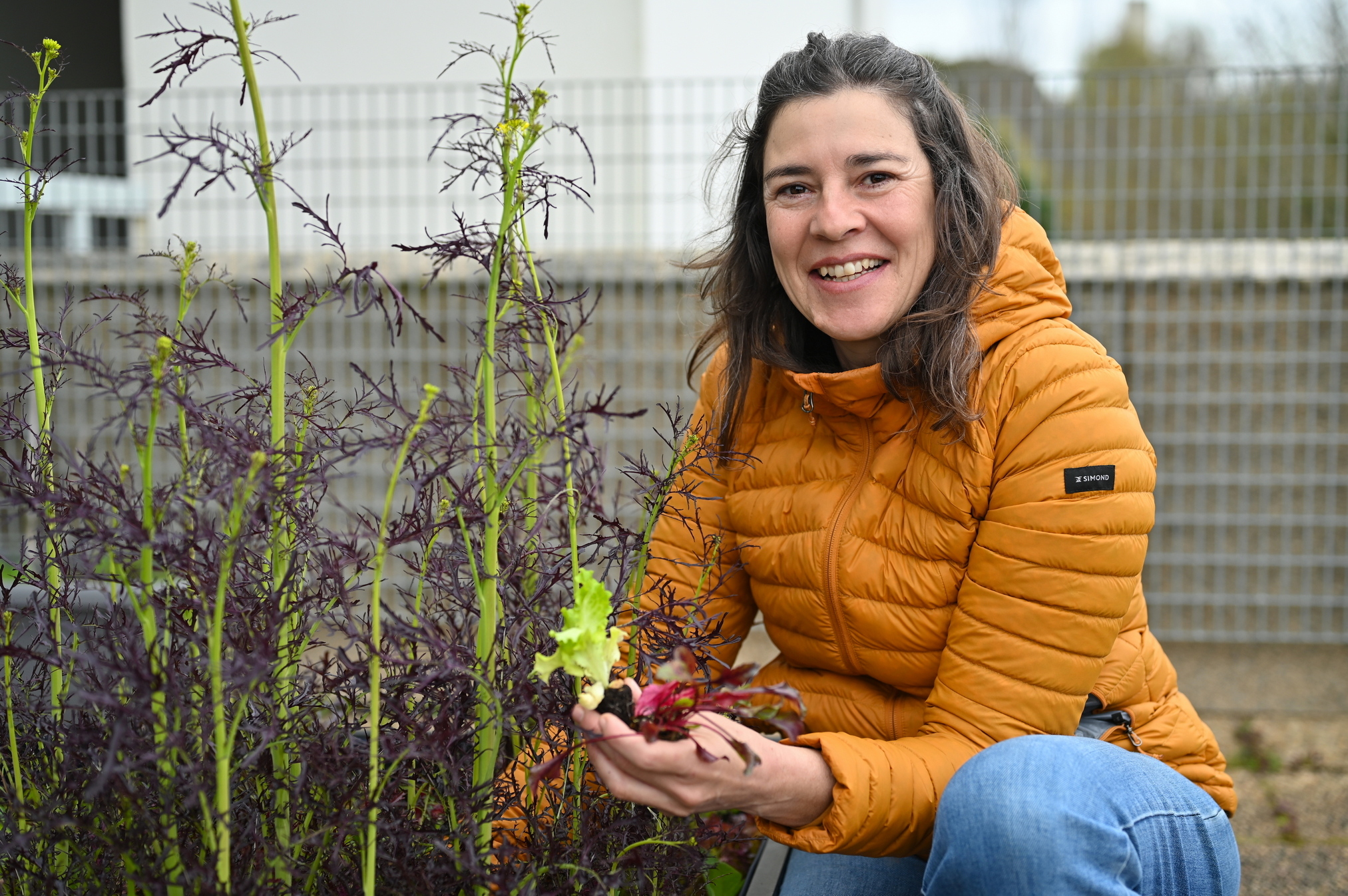 Conjugar Porto Filipa Almeida