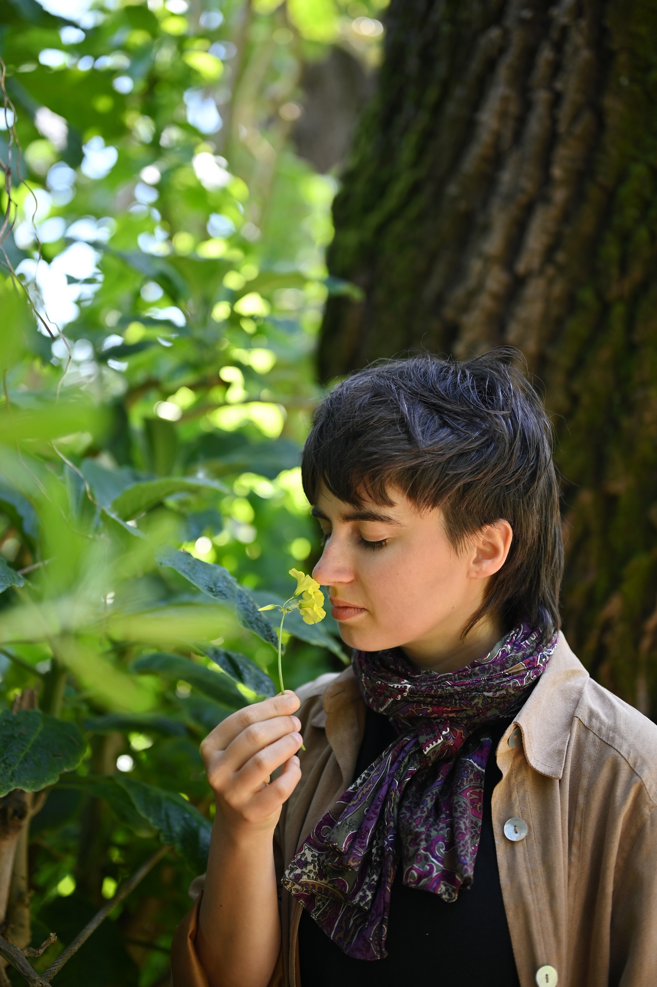 Fungo, Florestas, Futuros: um “encontro sensorial e íntimo” com a floresta de Aldoar