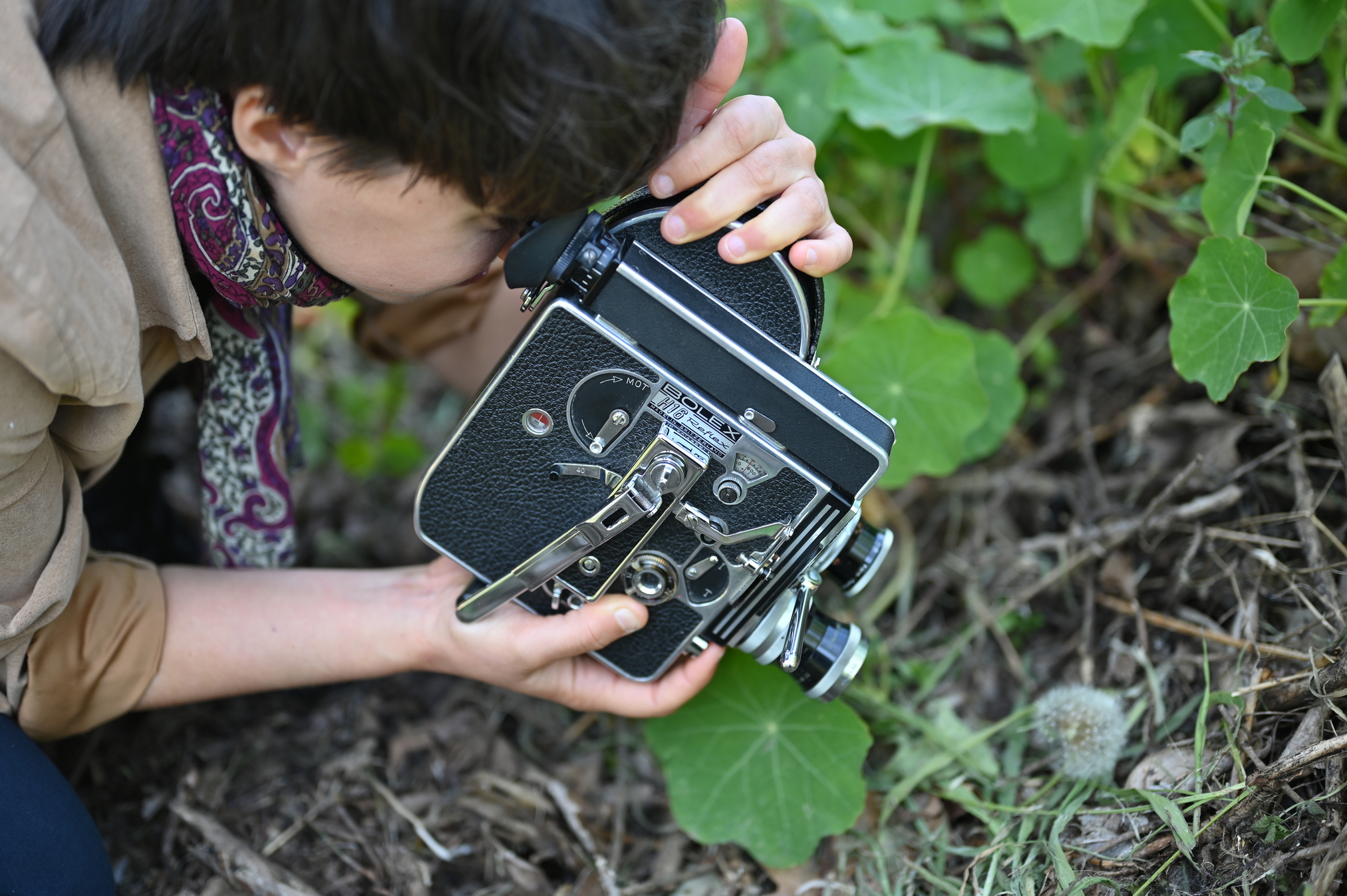 Fungo, Florestas, Futuros: um “encontro sensorial e íntimo” com a floresta de Aldoar