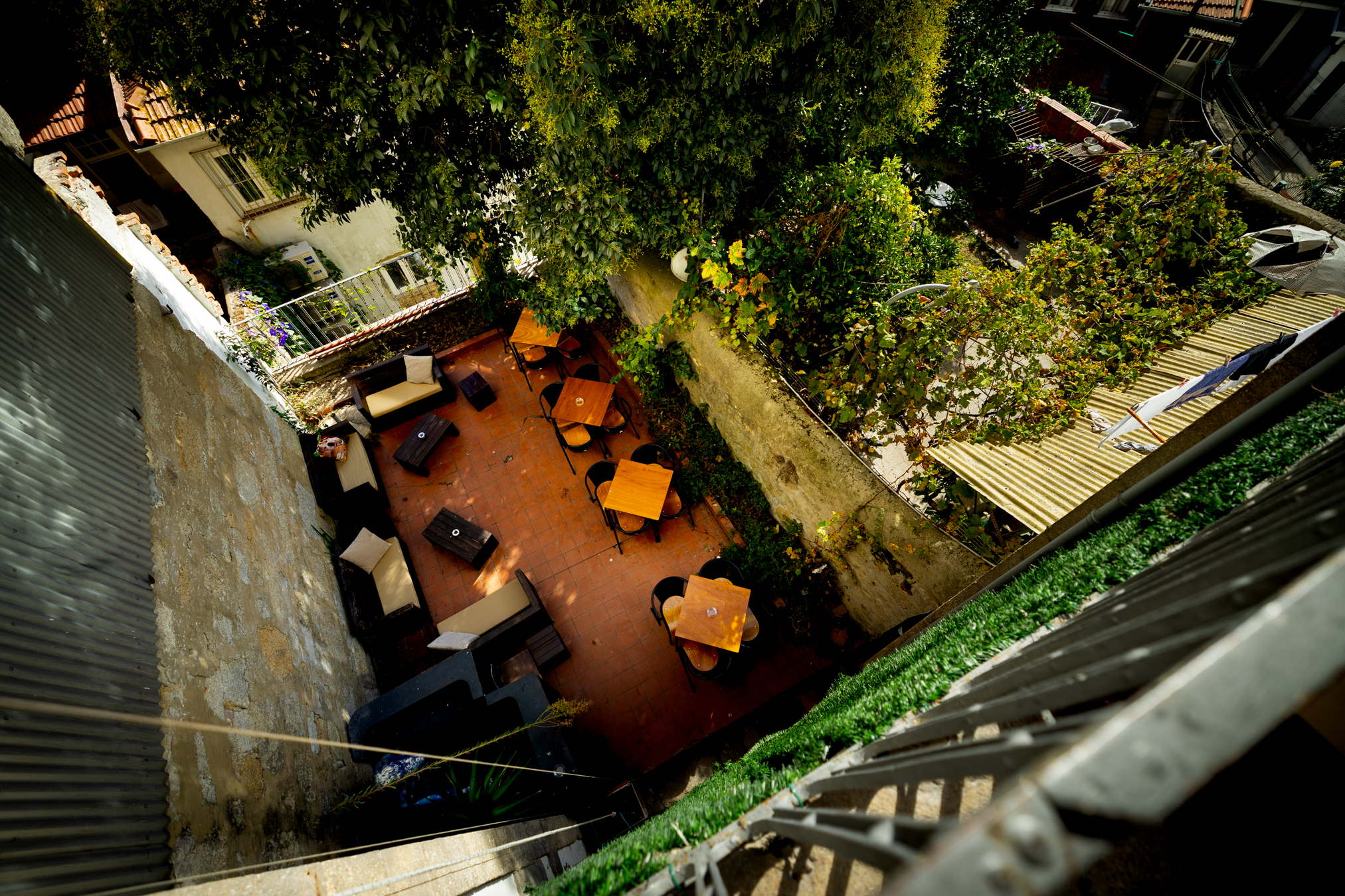 Codigo Postal Pinguim Cafe