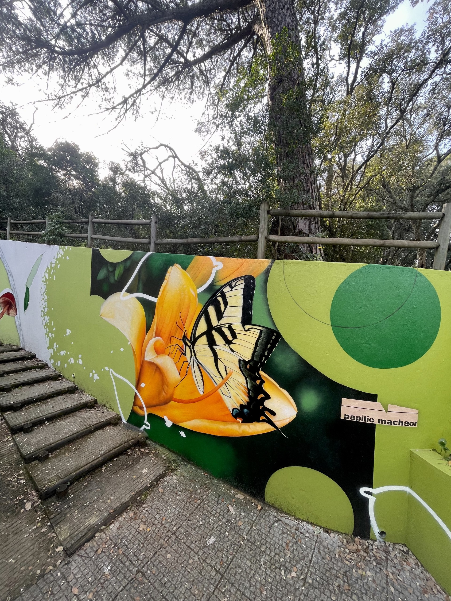 Celebração dos 90 anos do Centro de Interpretação de Monsanto
