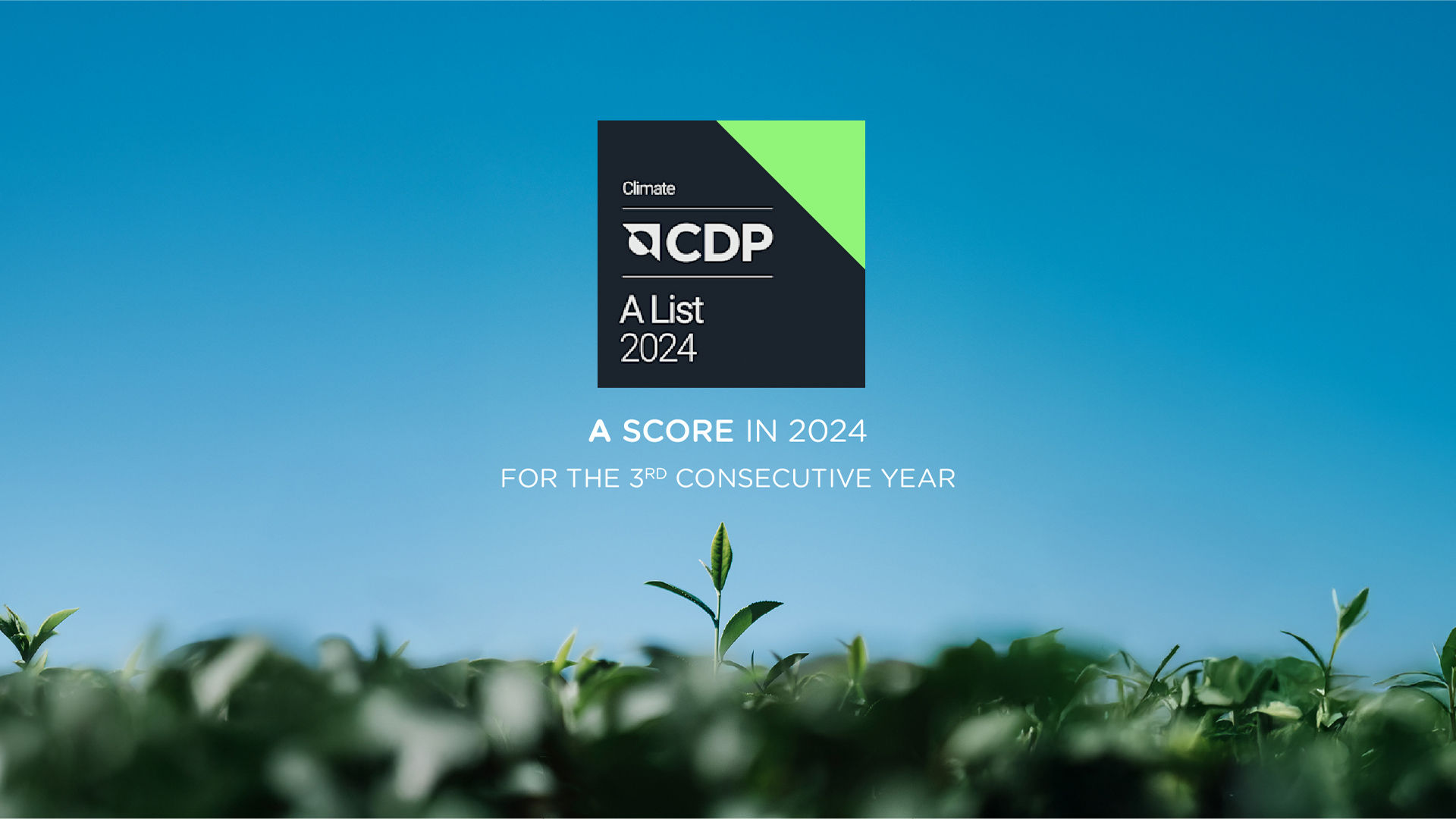 &quot;A&quot; Score on CDP