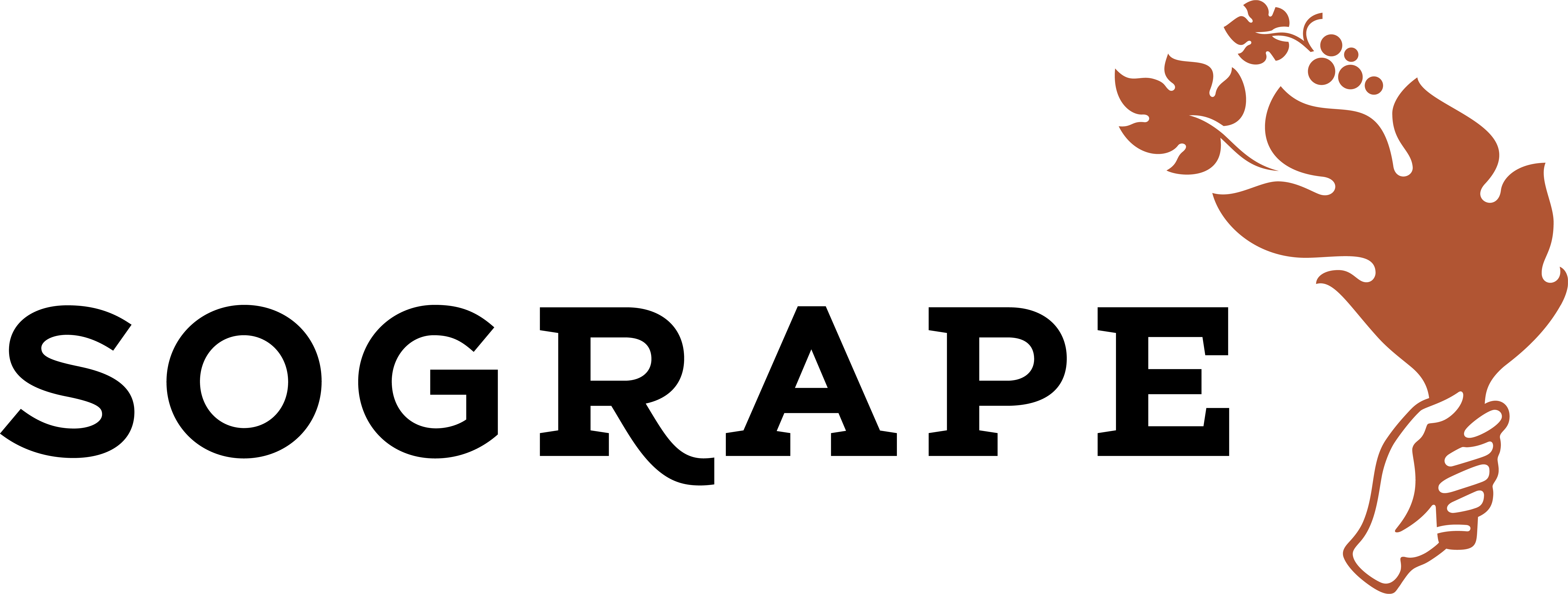 24. Sogrape