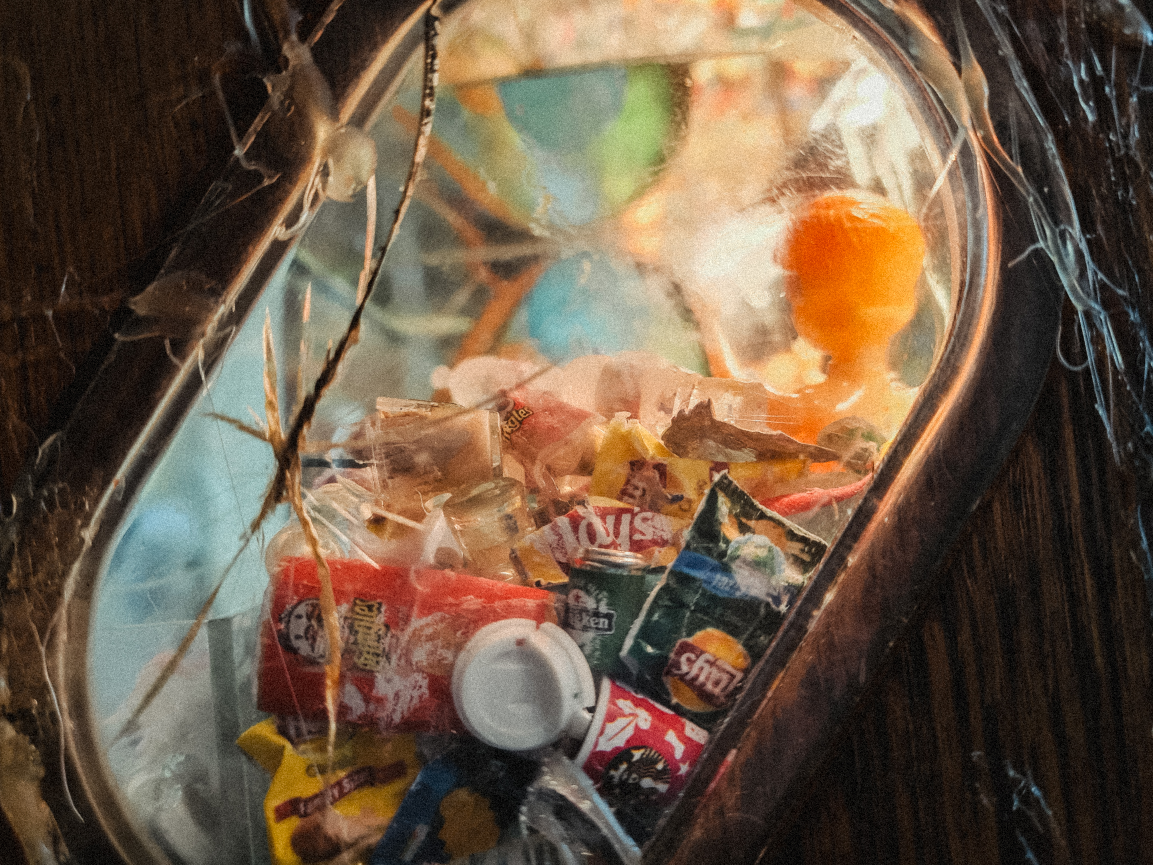Oceano Plastico 2