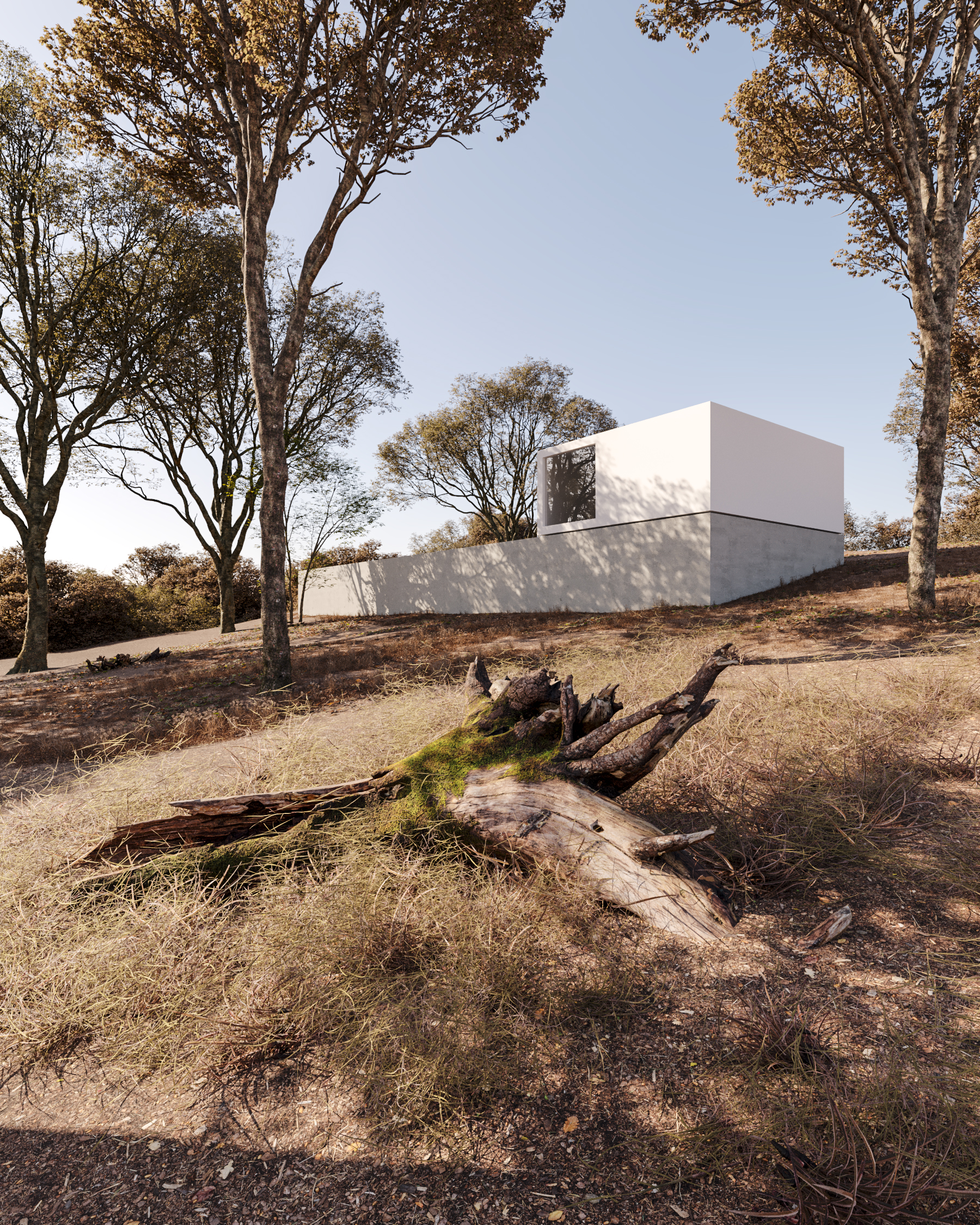 ESTUDO 3D FLORESTA ABRIGO