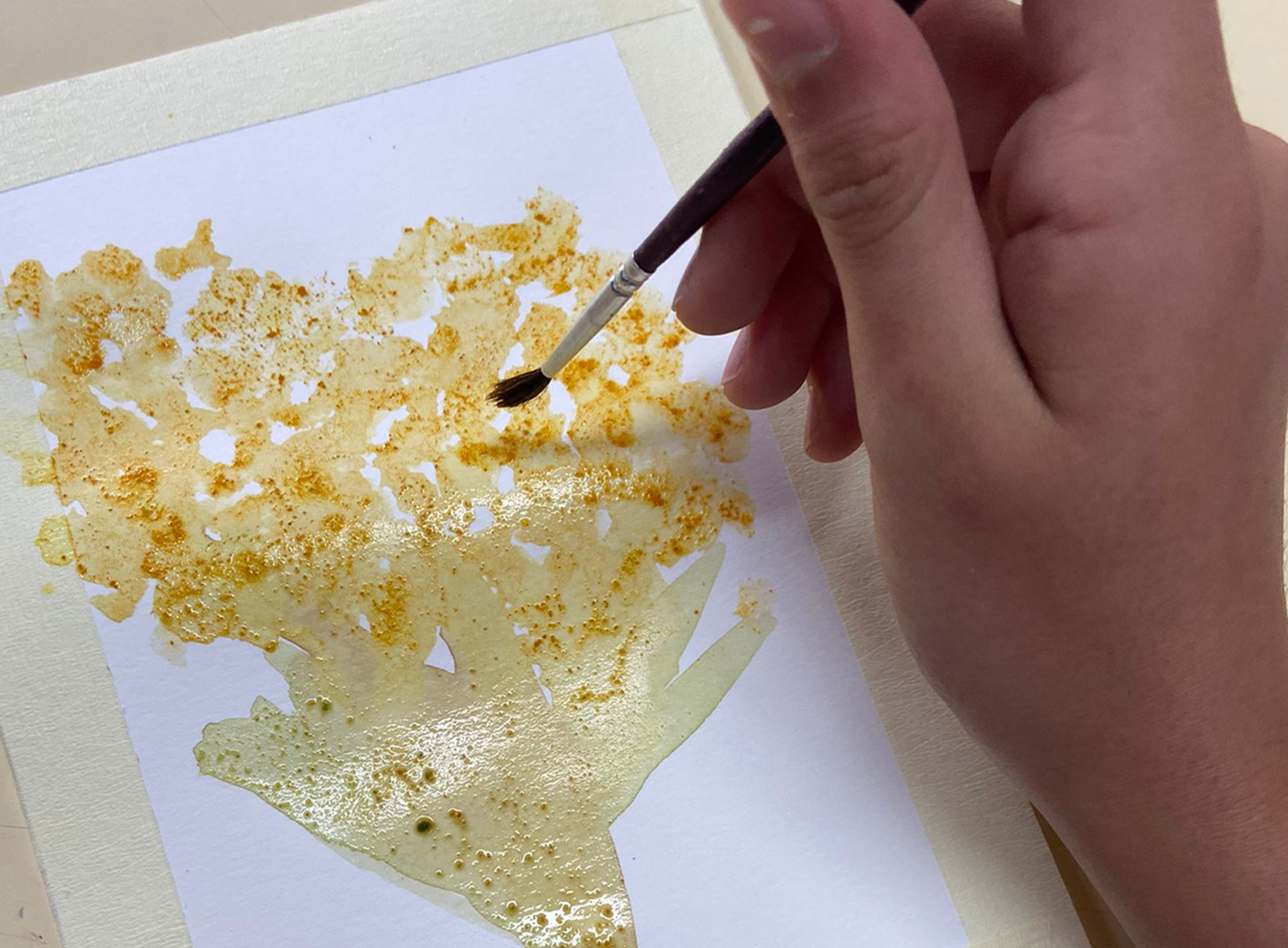 ANIMAR 20 - Children Workshop - Painting with Plants