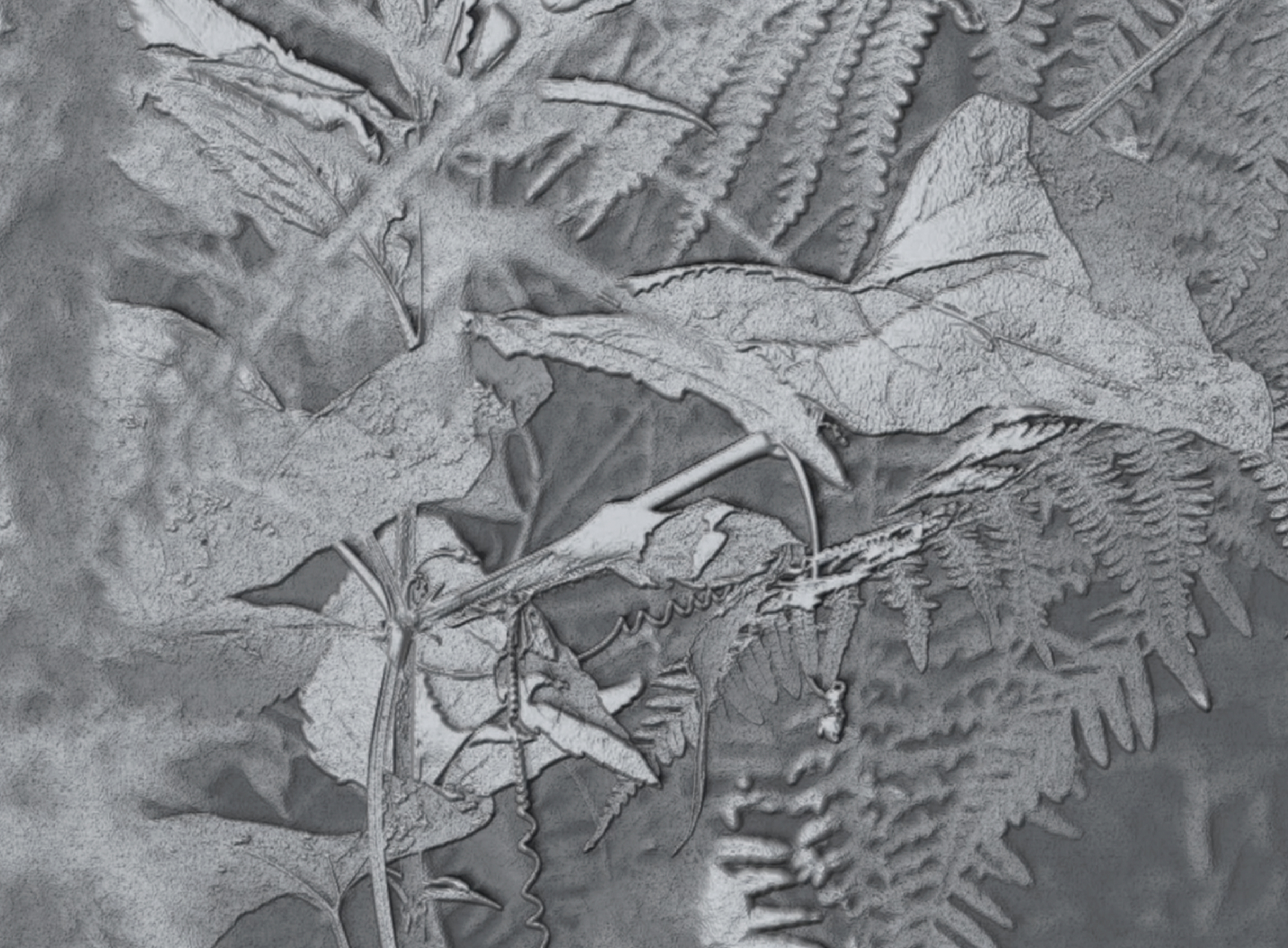 Pós-Laboratórios de Verão + Residências Solar