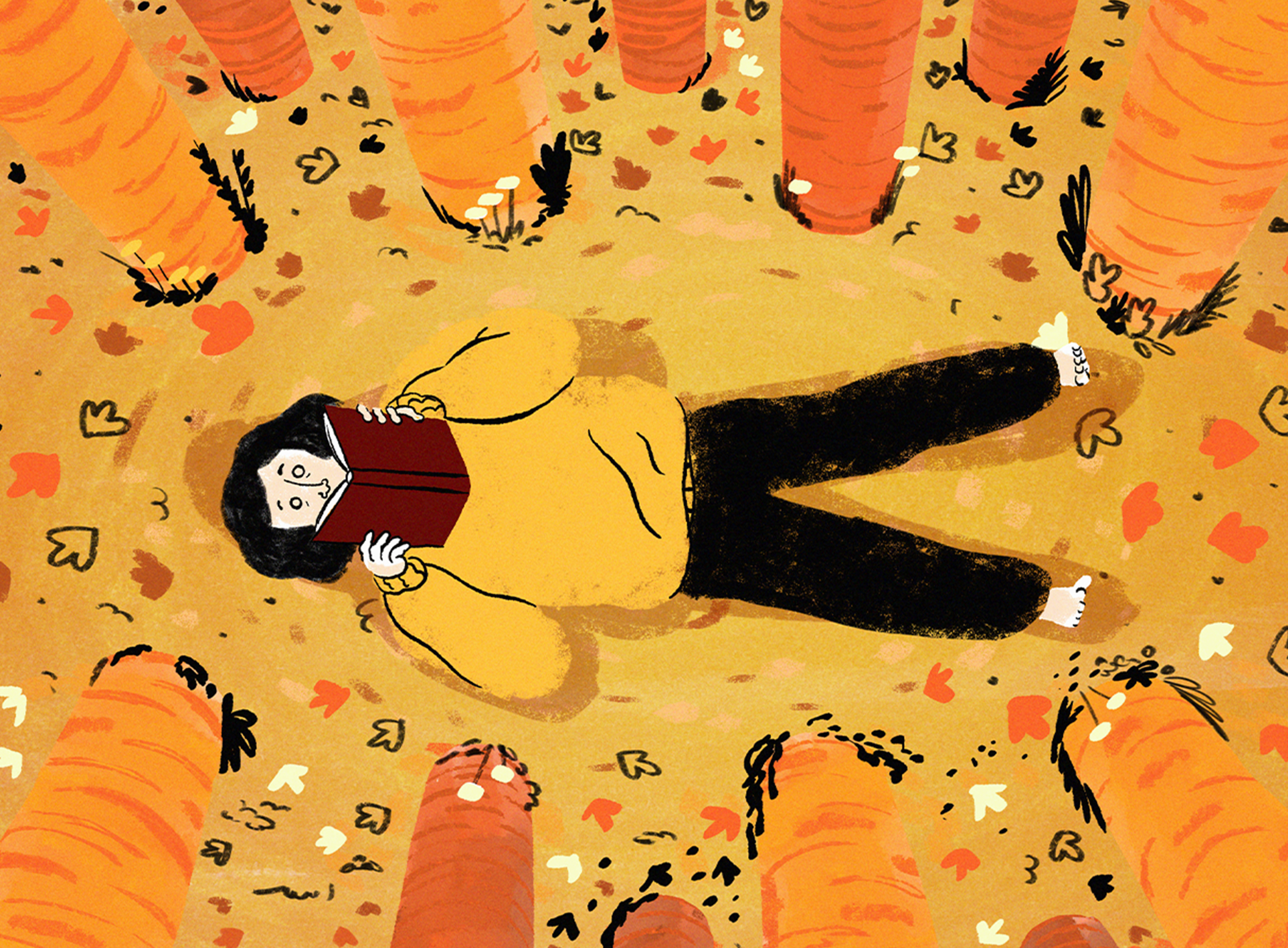 Animar 21 - Programa