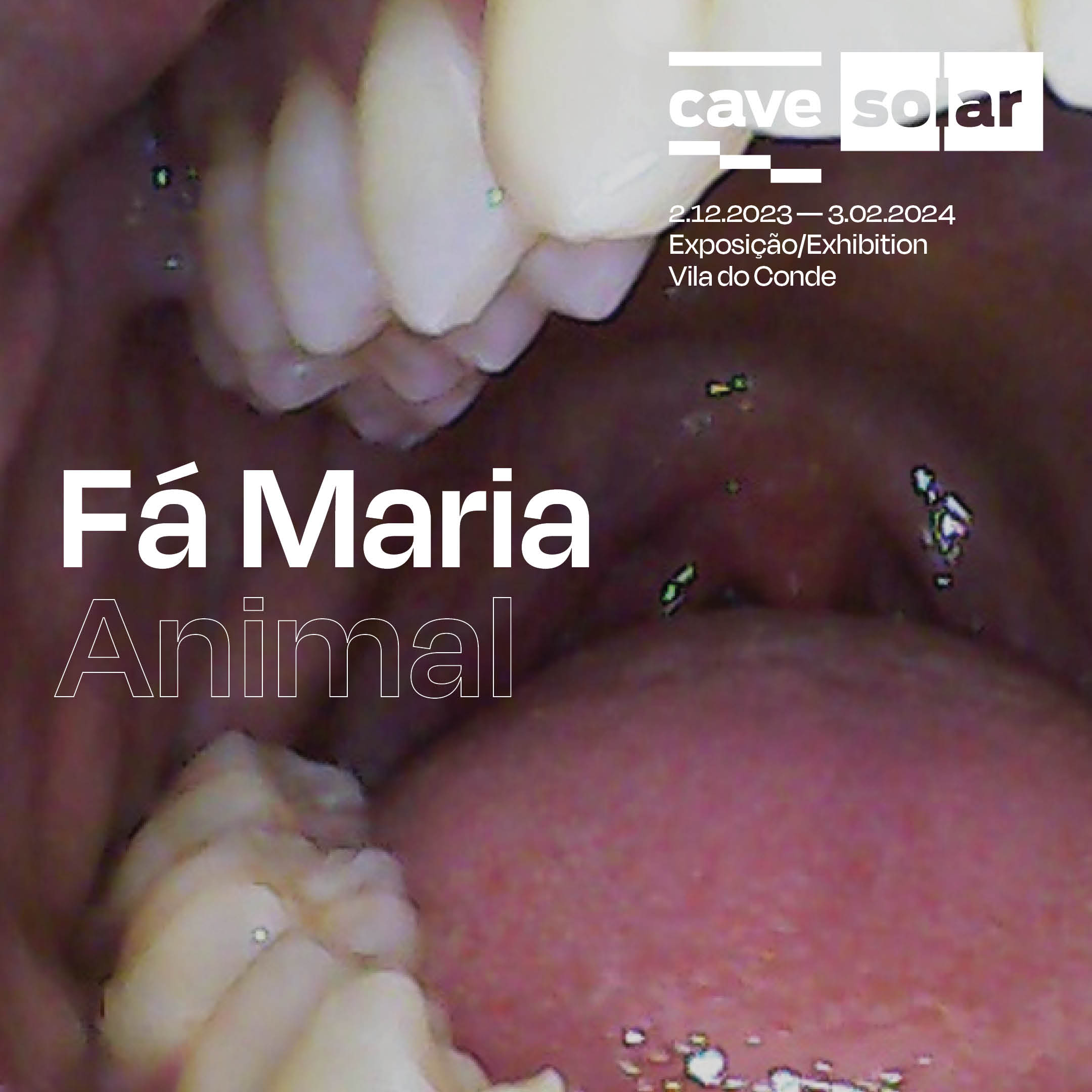 Fá Maria - 1 - Introdução